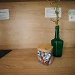 Mimosa Studio