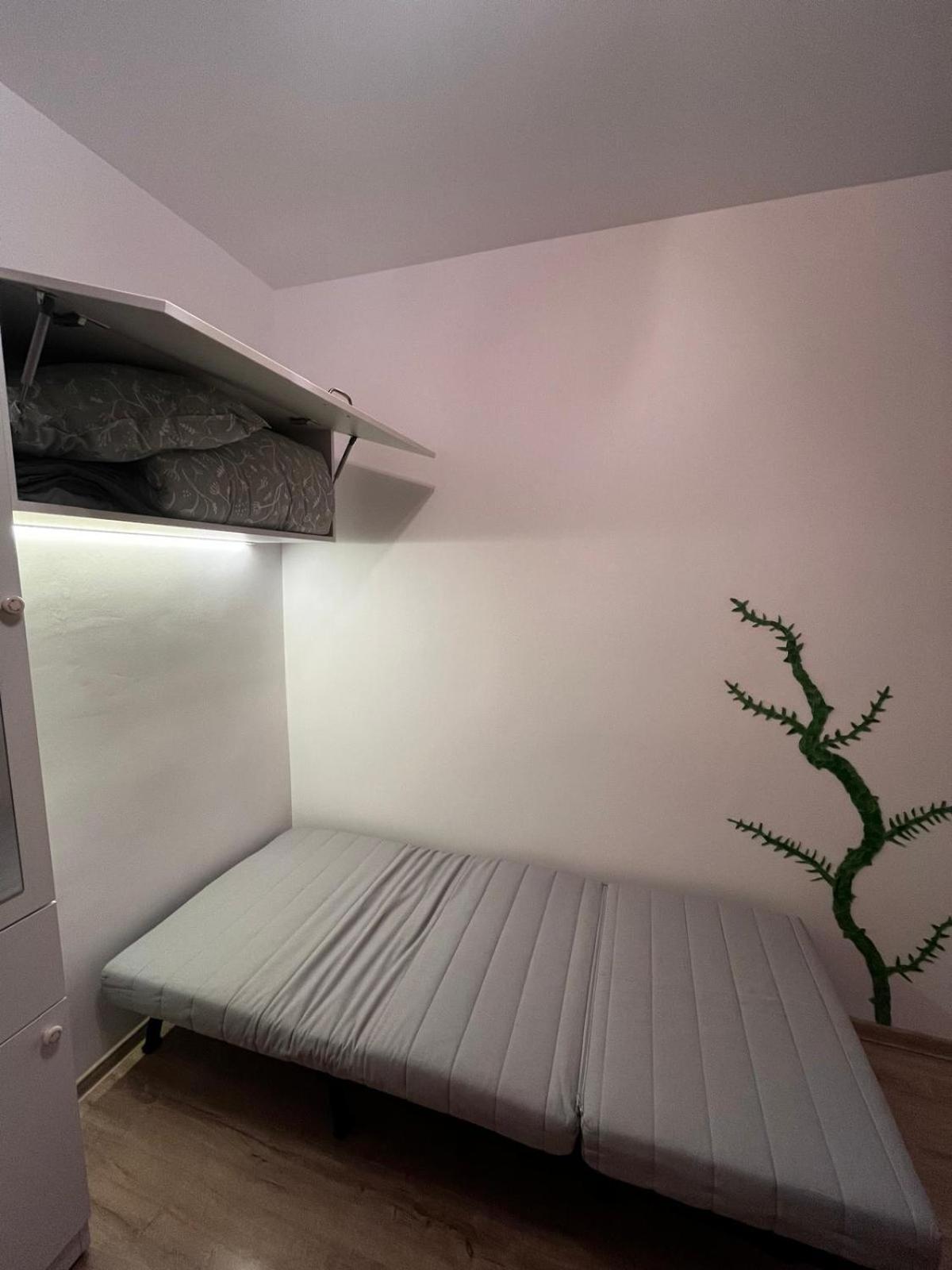 Mimosa Apartment Cluj-Napoca