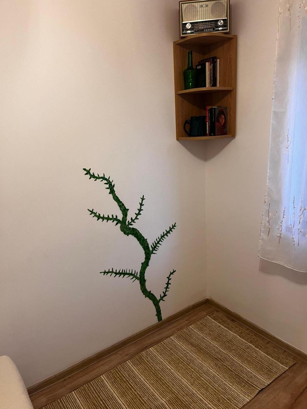 Apartment Mimosa *
